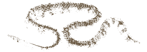 DesignedbyNed